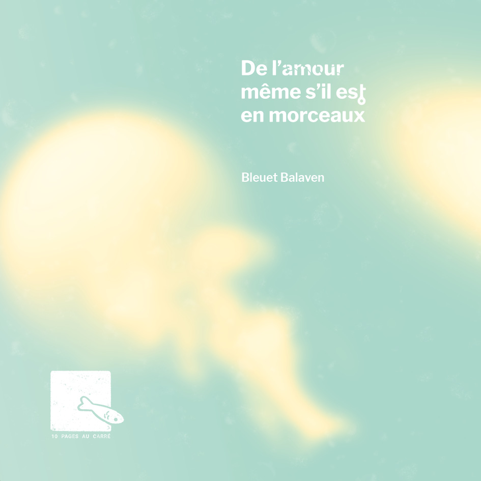 couverture De l'amour même s'il est en morceaux de Bleuet Balaven
